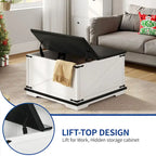Moasis Farmhouse Lift Top Square Coffee Table with Storage