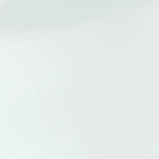 CraftPorch Contemporary Twin Size Metal Daybed with Trundle