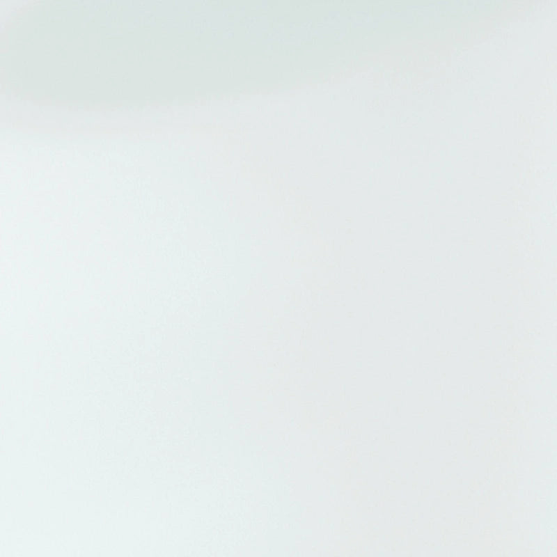 CraftPorch Contemporary Twin Size Metal Daybed with Trundle