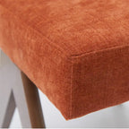 Mid Century Modern Dining Chair (Set of 2)