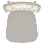 SAFAVIEH Luz Cane Dining Chair - 17 W x 20 D x 32 H - 17Wx20Dx32H